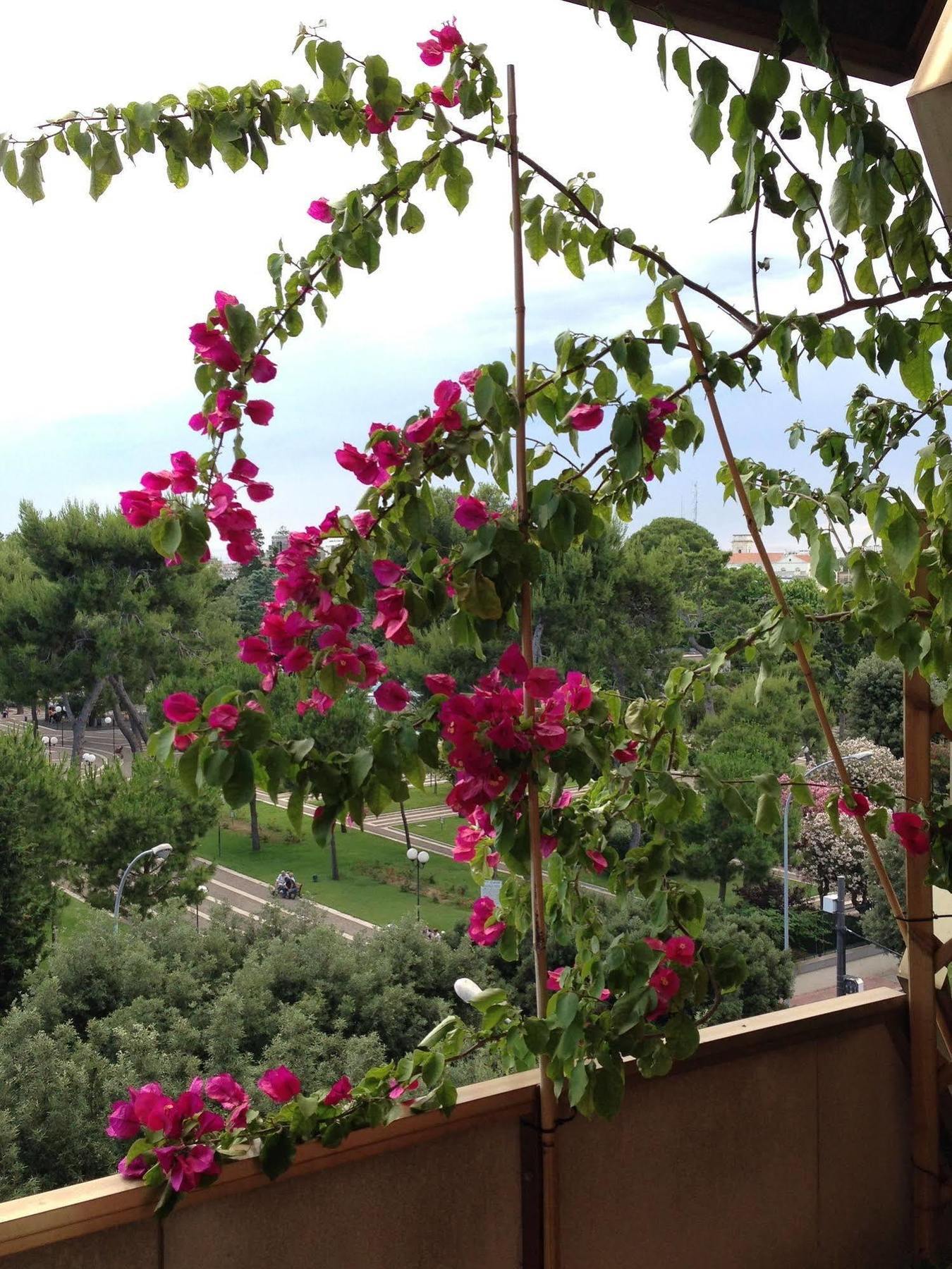 Bed and Breakfast Larala' Лечче Экстерьер фото